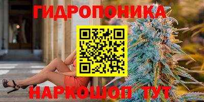скорость Камышлов