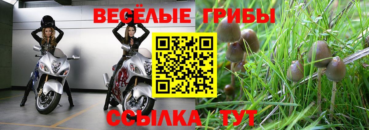 Галлюциногенные грибы мухоморы Нягань