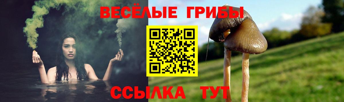 Псилоцибиновые грибы мухоморы  Вход с VPN  Нягань 